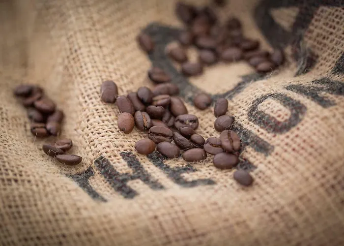 Apartman Oa - 50m Od Rynku - Old Market Square Wrocław