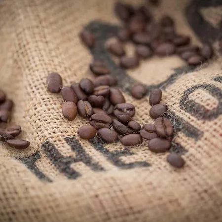 Apartment Oa - 50m Od Rynku - Old Market Square Wroclaw